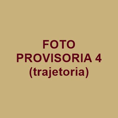 Atividade do Instituto Asher Social